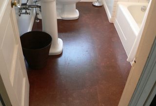 Cork flooring in in bathroom remodel in Urbana-Champaign