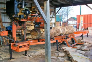 Austrian pine trunk on saw mill