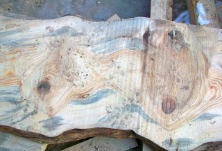 Beautiful grain patterns on sawn Austrian pine board