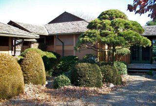 Exterior siding renovation with alternating colors of clear cedar siding, trim, and stucco panels revived the original beauty of this architect-designed, Japanese style home.